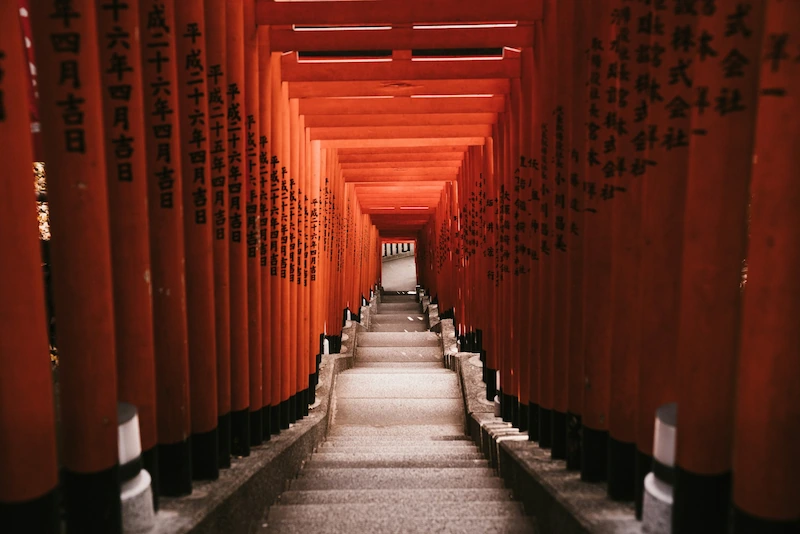 Best things to do in Tokyo