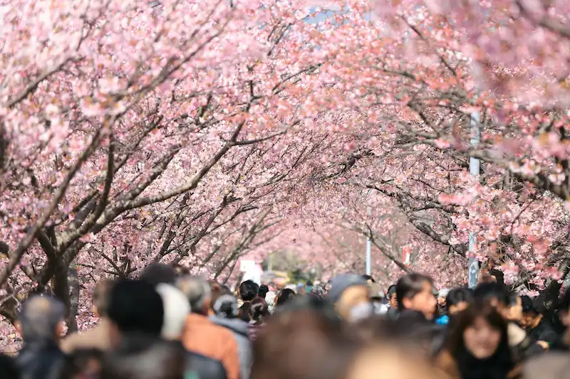 Ueno neighborhood in Tokyo