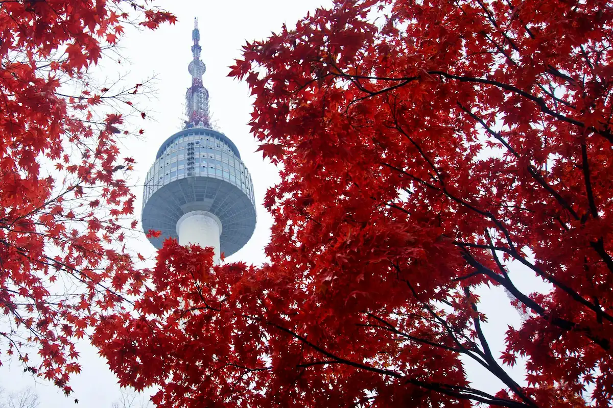 Seoul travel guide