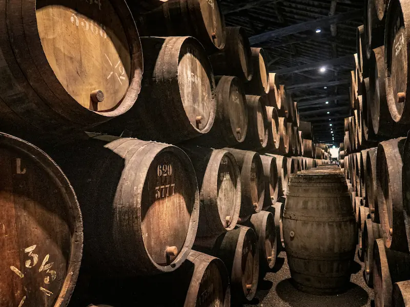 Best things to do in Porto