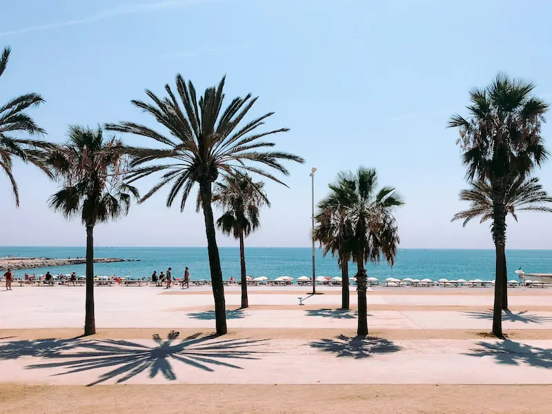 Barceloneta neighborhood in Barcelona