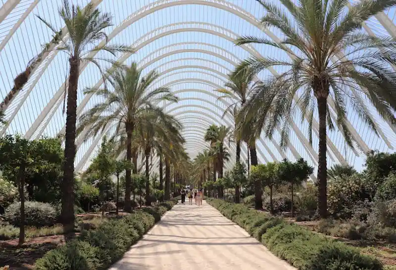 Best things to do in Valencia