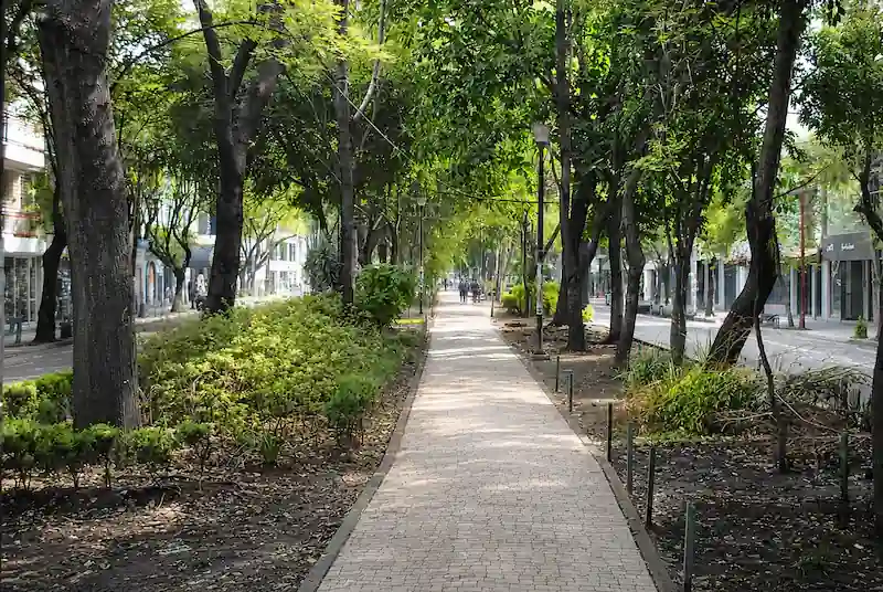 Condesa neighborhood in Mexico City