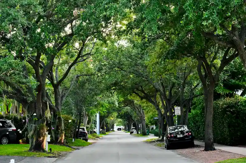 Coconut Grove neighborhood in Miami