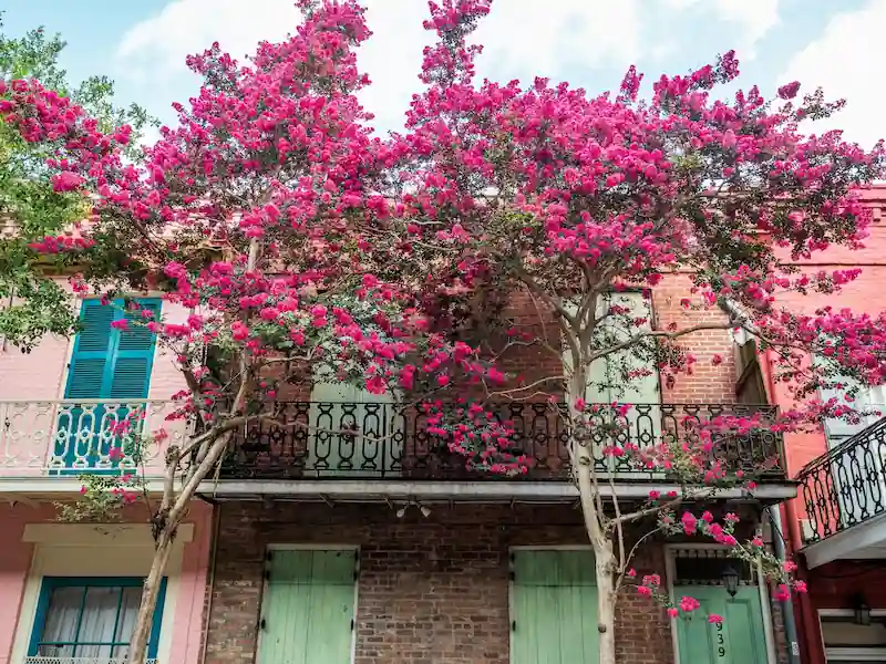 Where to stay in New Orleans