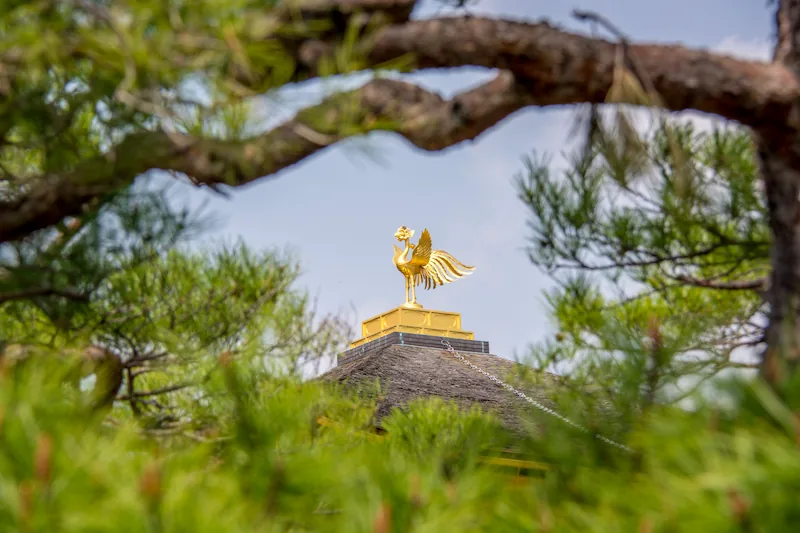 Kyoto in Three Days: A First Route That Moves with the City