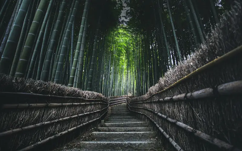 Kyoto in Five Days: A Deeper Route Beyond the Obvious First Pass