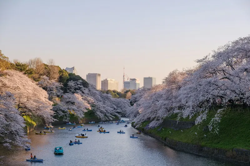 5 days in Tokyo: a complete first-time itinerary with temples, skyline views, markets, gardens, and neighborhoods