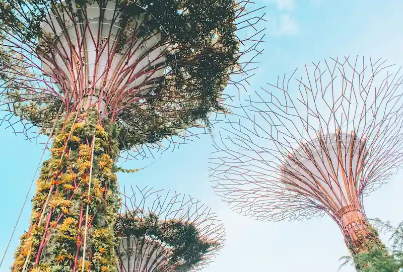 Three Days in Singapore: A First Trip That Flows from Bay to Neighborhoods