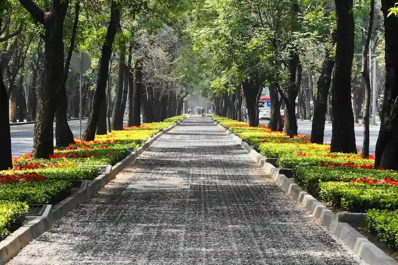5 Days in Mexico City: A Complete First-Time Route Through Centro, Chapultepec, Roma, Coyoacán, and Xochimilco