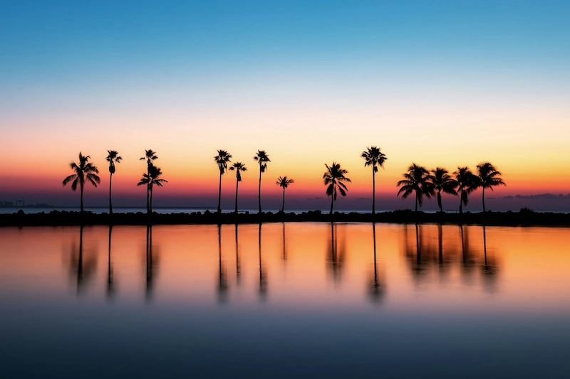 Miami in Four Days: A Warm-Weather Itinerary Built Around Water, Design, and Slow Evenings