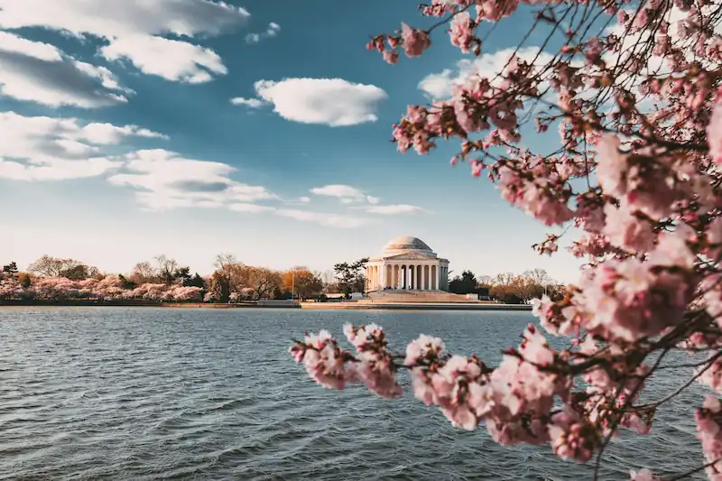 4 Days in Washington DC: Museums, Memorials, Georgetown, U Street, and the City Beyond the Mall